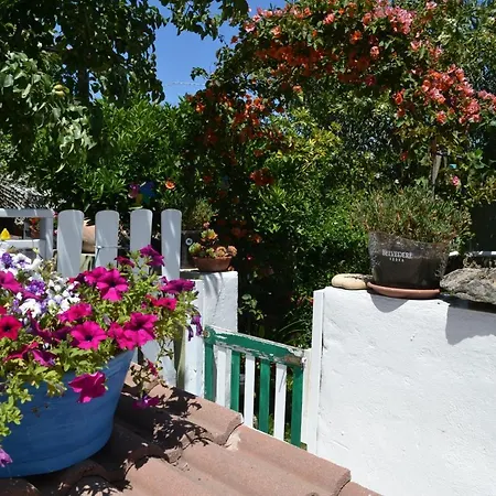 Casa vacanze Bilocale Al Mare Olbia